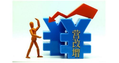 一般纳税人提供技术服务 6%税率适用性解析